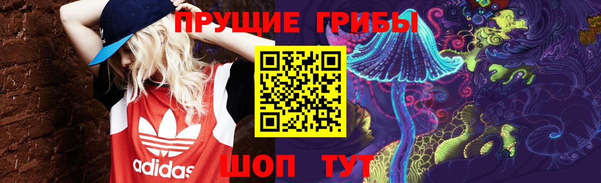 Галлюциногенные грибы GOLDEN TEACHER Королёв