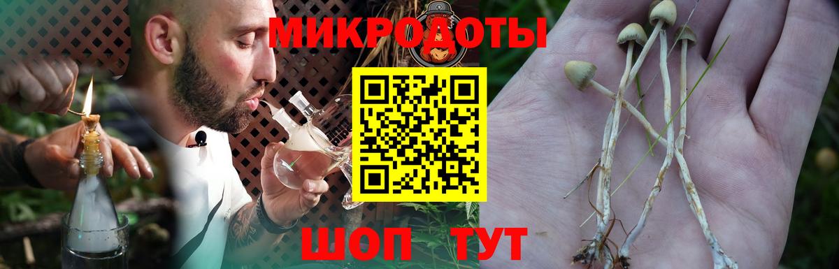 Королёв  Псилоцибиновые грибы MAGIC MUSHROOMS  Псилоцибиновые грибы MAGIC MUSHROOMS  Вход с VPN 